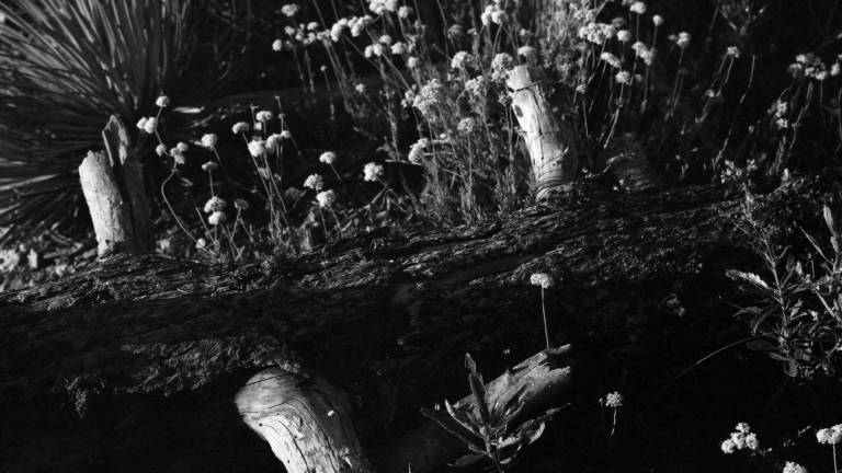 Alia Chand Exhibition Covered by USC Annenberg Media